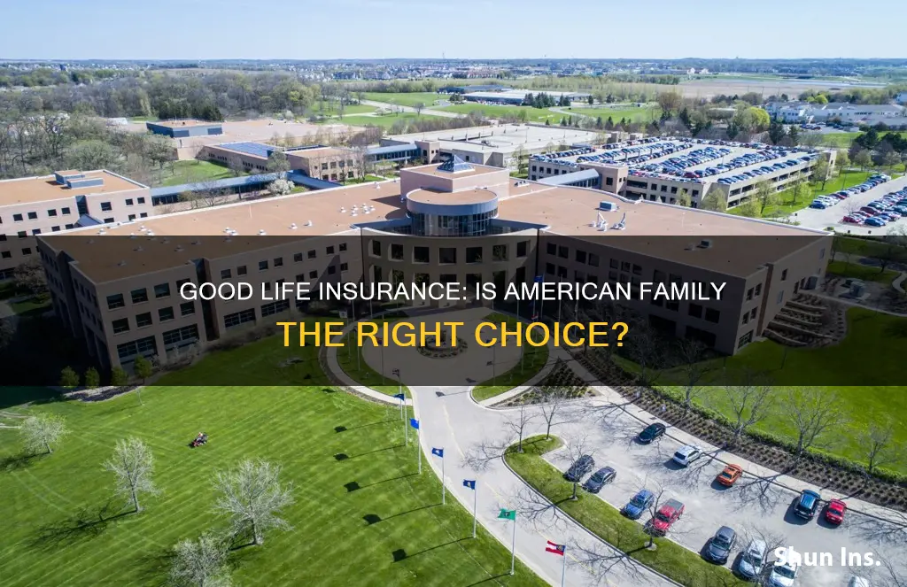 is american family good life insurance