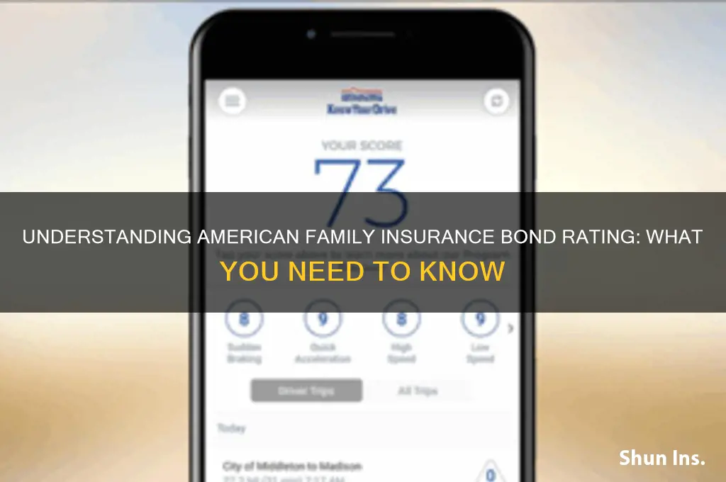 is american family insurance bond rating