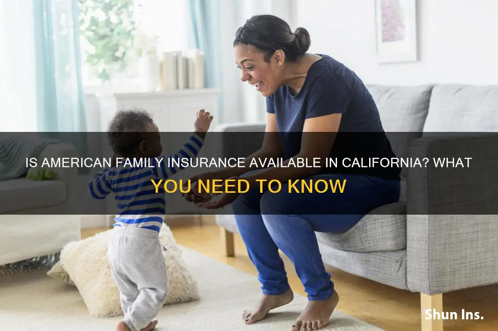 is american family insurance in california