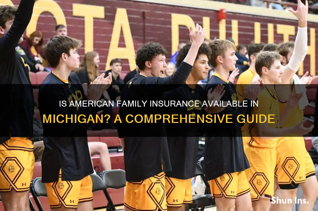 is american family insurance in michigan