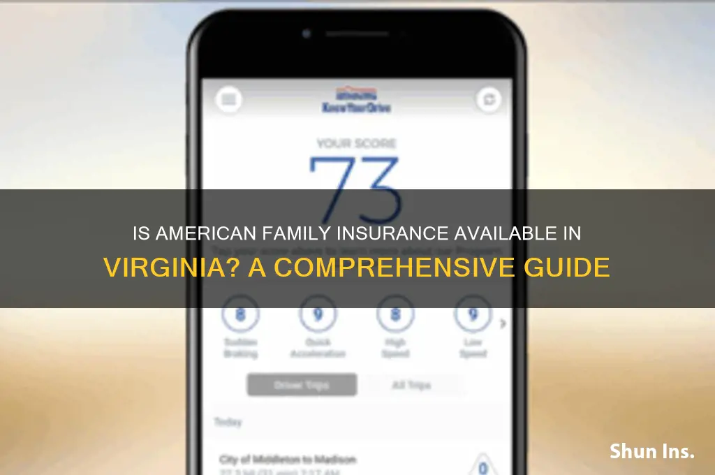 is american family insurance in va