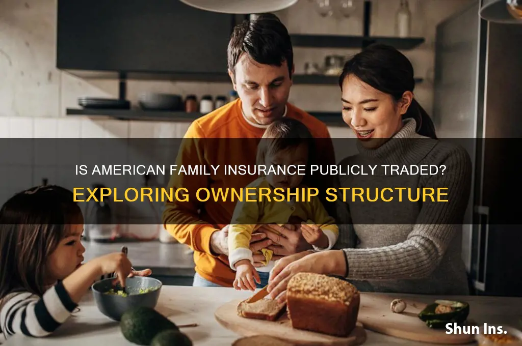 is american family insurance publicly traded