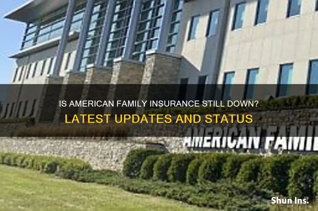 is american family insurance still down