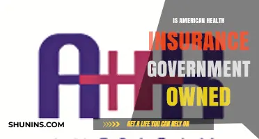 Decoding American Health Insurance: Government Ownership Explained