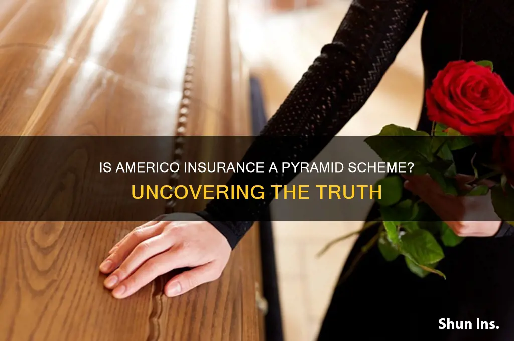 is americo insurance a pyramid scheme