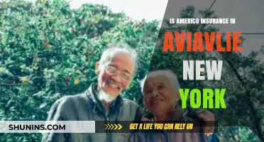 Is Americo Insurance Available in New York? A Comprehensive Guide