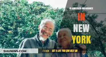 Is Americo Insurance Available in New York? A Comprehensive Guide