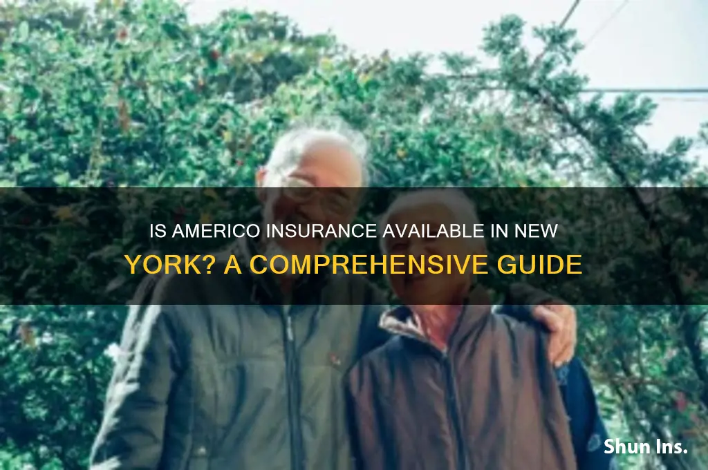 is americo insurance in new york