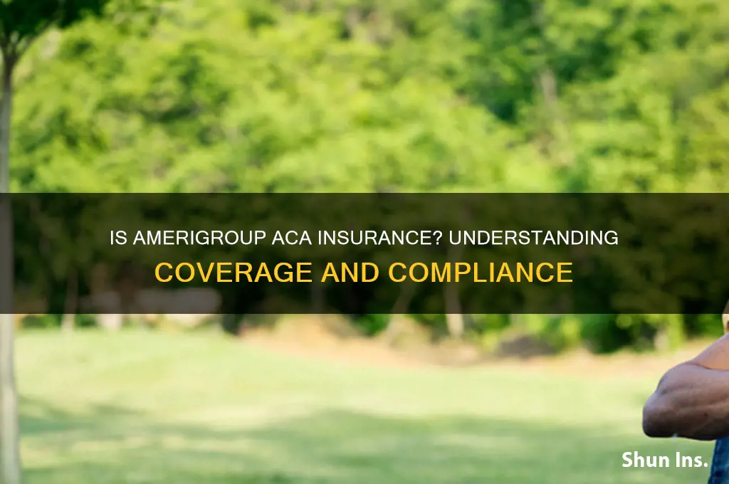 is amerigroup aca insurance