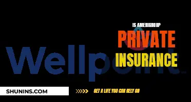 Amerigroup Insurance: Private or Public?