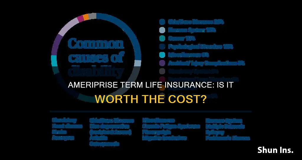 is ameriprise term life insurance good