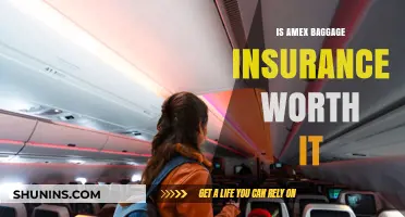 Amex Baggage Insurance: Is It Worth the Effort?