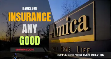 Amica Auto Insurance: Worth the Hype?