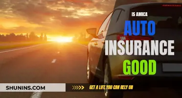 Amica Auto Insurance: Good or Bad?