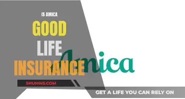 Amica Life Insurance: Is It a Good Choice?