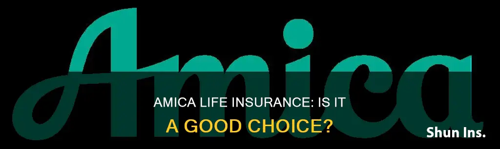 is amica good life insurance