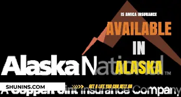 Is Amica Insurance Available in Alaska? Find Out Now