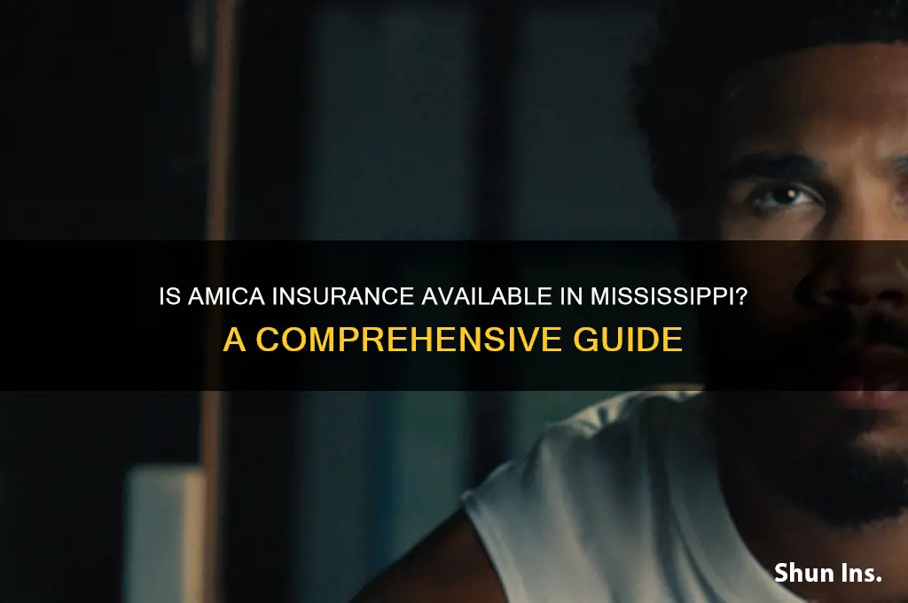 is amica insurance available in mississippi