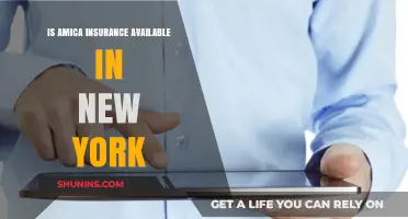 Is Amica Insurance Available in New York? Find Out Here
