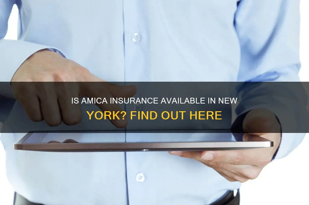 is amica insurance available in new york