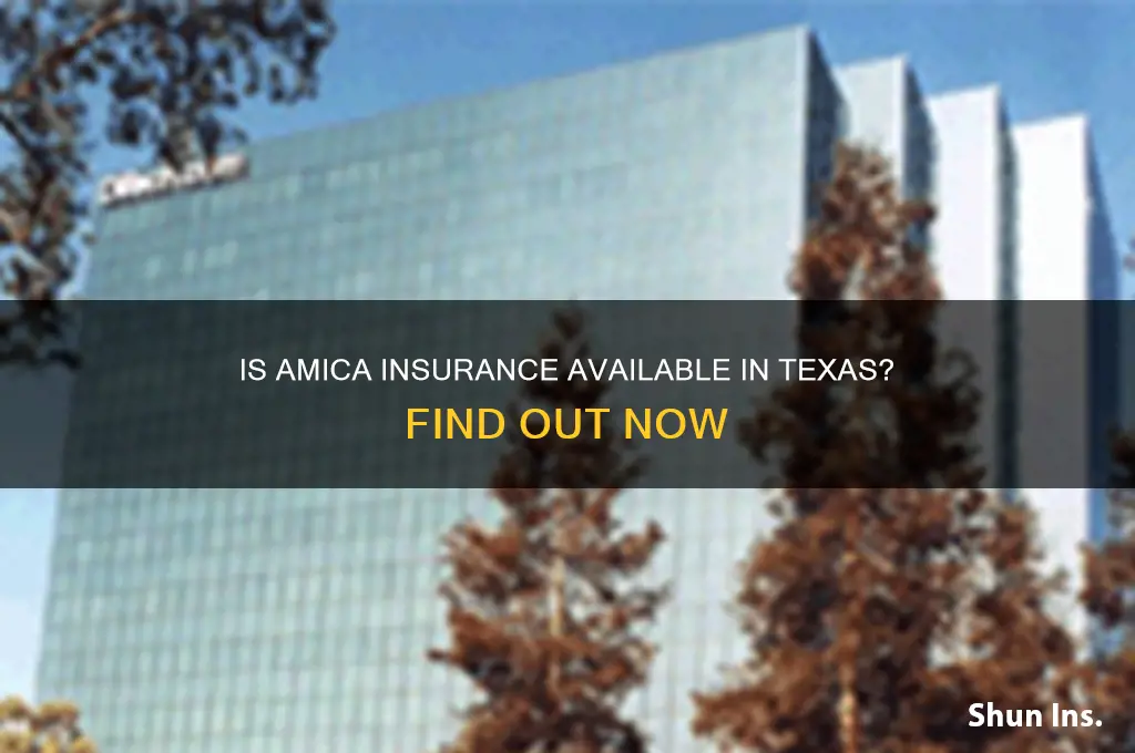 is amica insurance available in texas