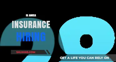 Is Amica Insurance Hiring? Explore Career Opportunities and Job Openings