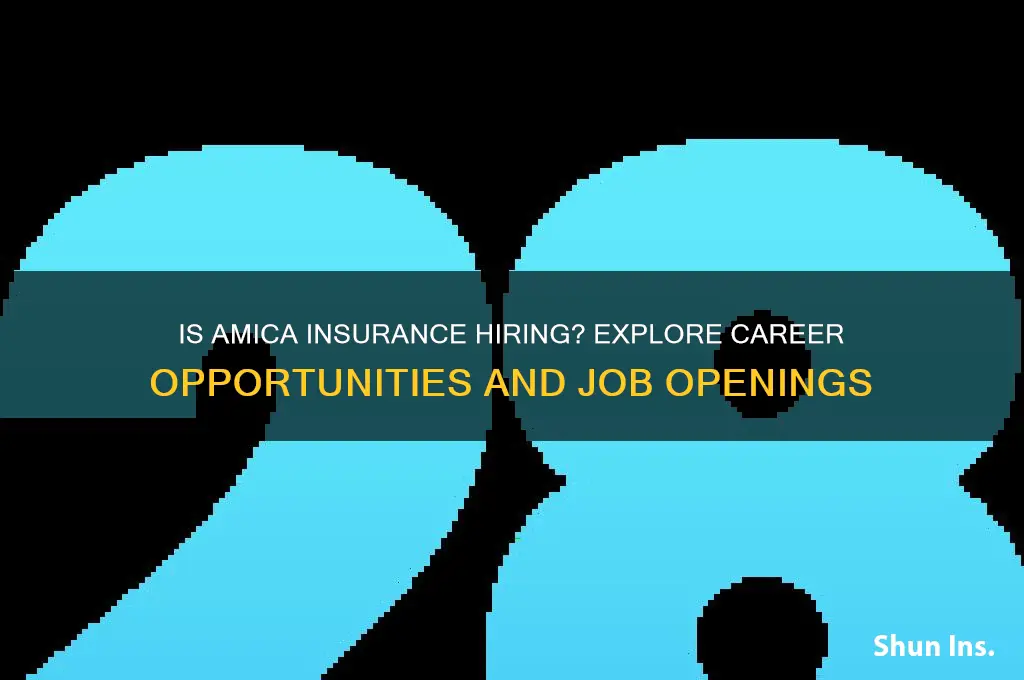 is amica insurance hiring