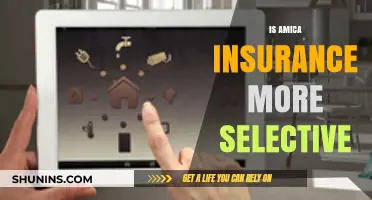 Is Amica Insurance More Selective? Exploring Their Underwriting Criteria