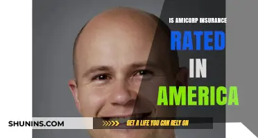 Amicorp Insurance: Rated and Reviewed in America