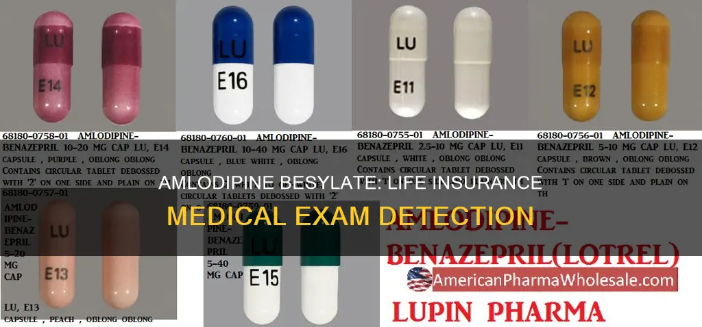 is amlodipine besylate detectable in medical exam life insurance