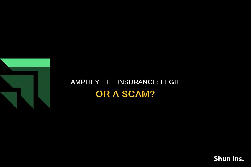 is amplify life insurance legit