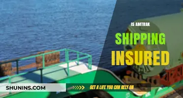 Is Amtrak Shipping Insured? Understanding Your Coverage and Protection