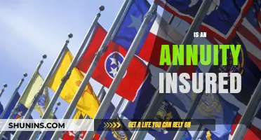 Are Annuities Insured? Understanding Protection for Your Retirement Income