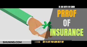 Auto ID Card: Proof of Insurance or Not?