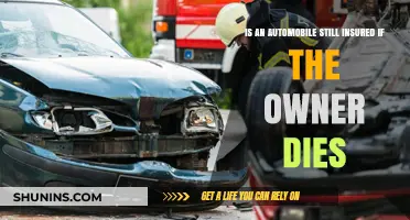 Does Auto Insurance Survive the Owner's Death? Key Facts Explained