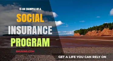 Understanding Social Insurance: Key Programs and Their Impact on Society