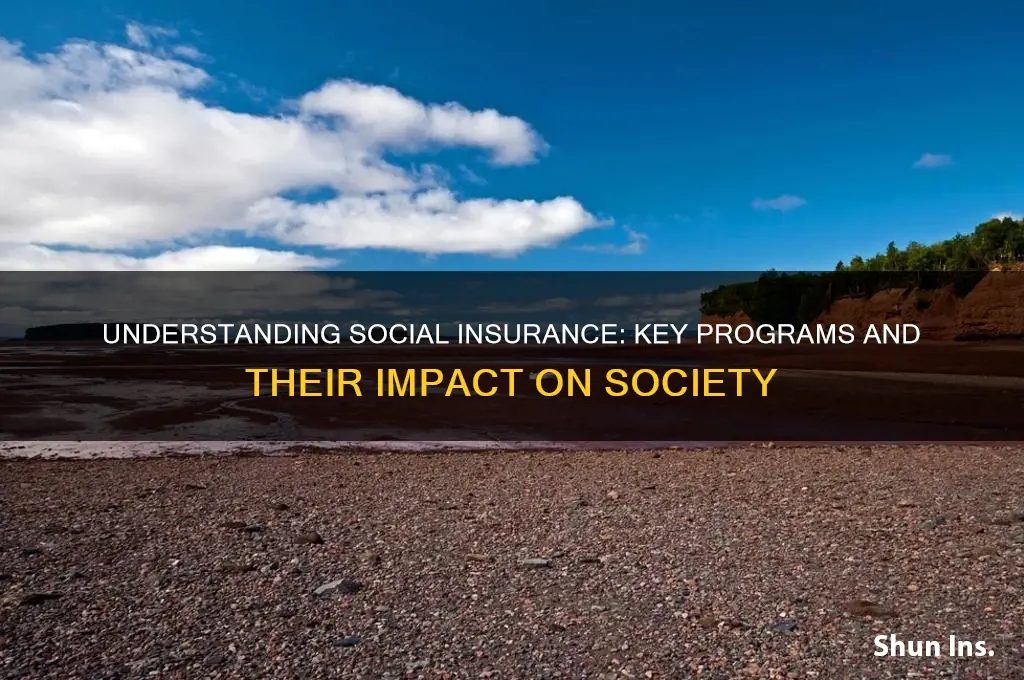 is an example of a social insurance program