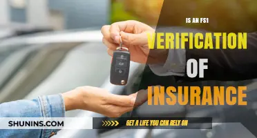 Understanding FS1 Verification of Insurance: What You Need to Know