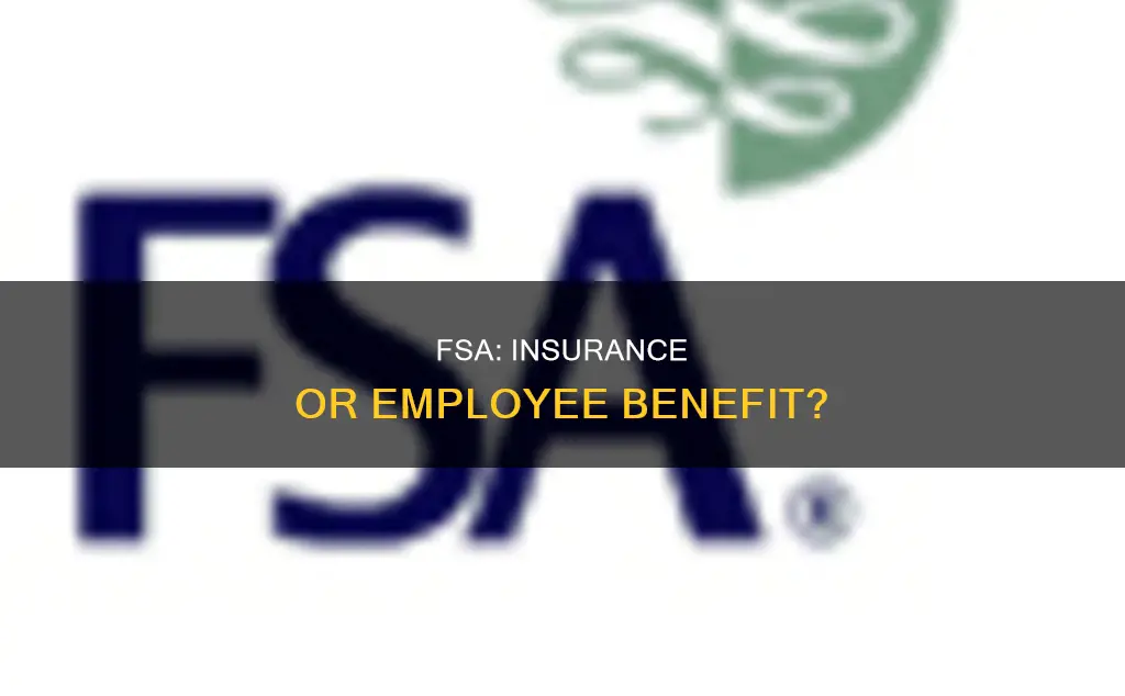 is an fsa considered insurance