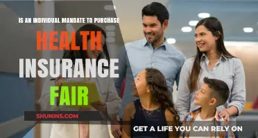 Evaluating the Fairness of Individual Health Insurance Mandates