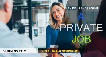 Insurance Agents: Private or Public Sector?