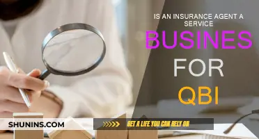 Understanding Insurance Agents' Service Business Status for QBI