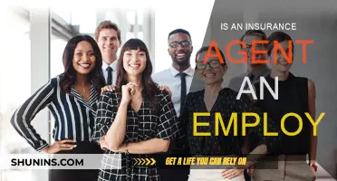 Who Employs Insurance Agents?