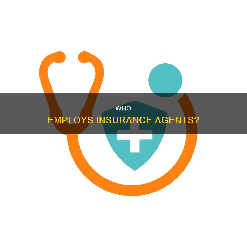 is an insurance agent an employee