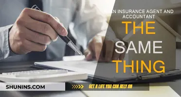 Insurance Agents vs Accountants: What's the Difference?