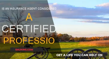 Are Insurance Agents Certified Professionals?