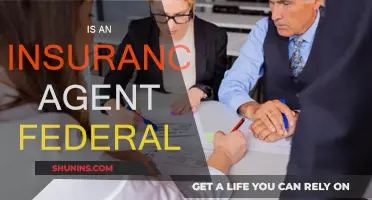 Insurance Agents: Federal or State-Regulated?
