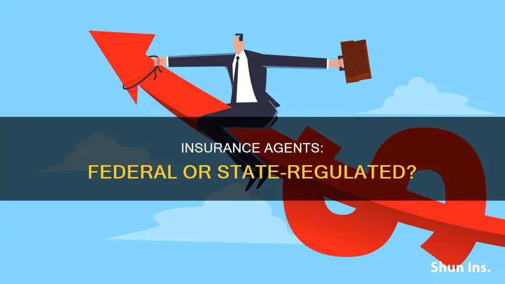 is an insurance agent federal