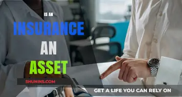 Is Insurance an Asset? Understanding Its Role in Financial Planning