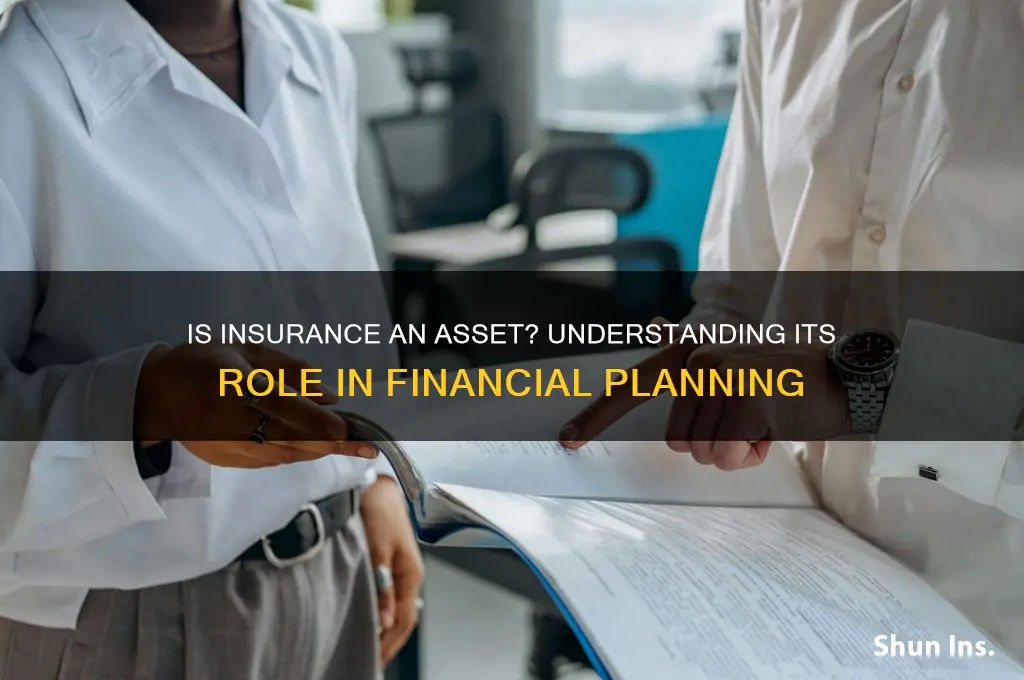 is an insurance an asset